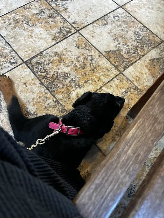 Memorial Drive Veterinary Clinic 4