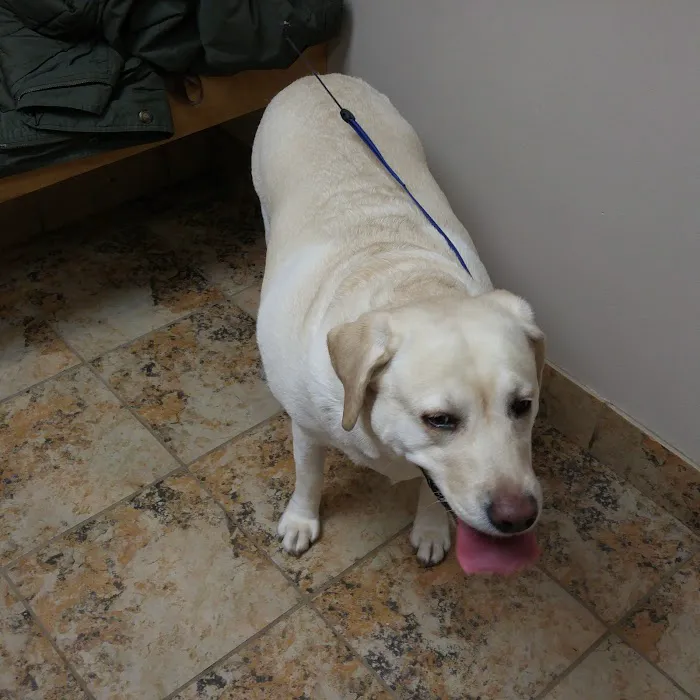 Memorial Drive Veterinary Clinic 1