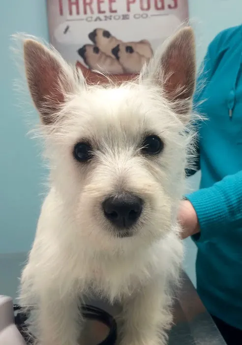 Mishicot Veterinary Clinic 1