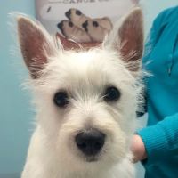 Mishicot Veterinary Clinic ico
