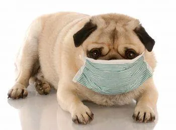 Mishicot Veterinary Clinic 3