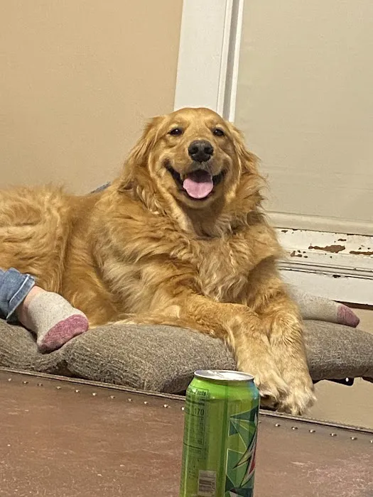 Crossroads Veterinary Clinic SC 2