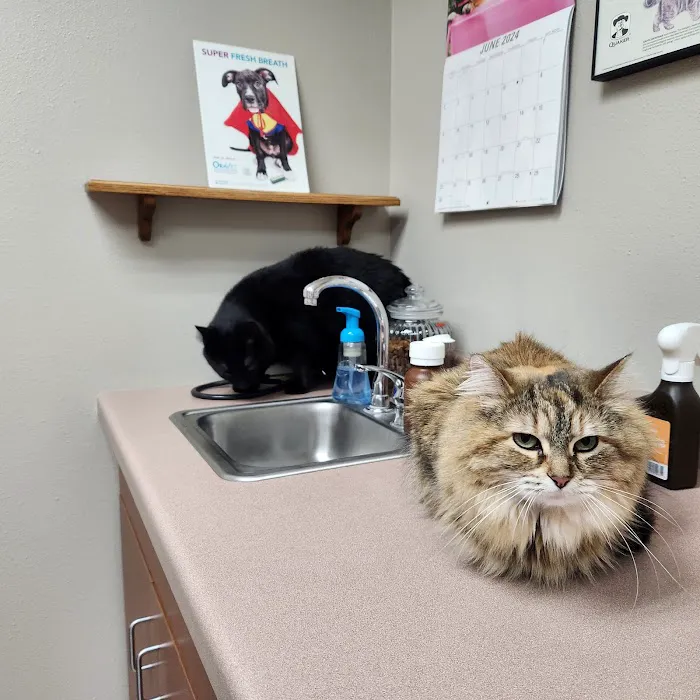 Crossroads Veterinary Clinic SC 6