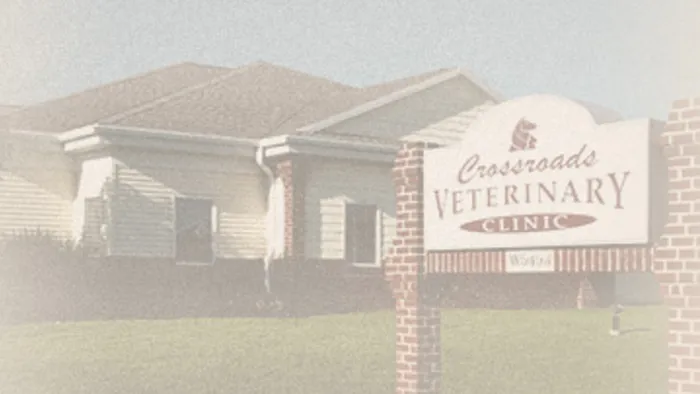 Crossroads Veterinary Clinic SC 10