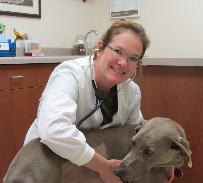 Crossroads Veterinary Clinic: Tami Strom, DVM 4