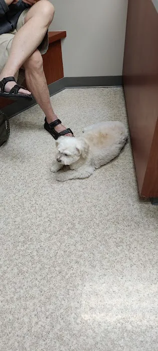 Crossroads Veterinary Clinic: Sharon Little, DVM 1