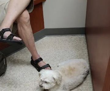 Crossroads Veterinary Clinic: Sharon Little, DVM