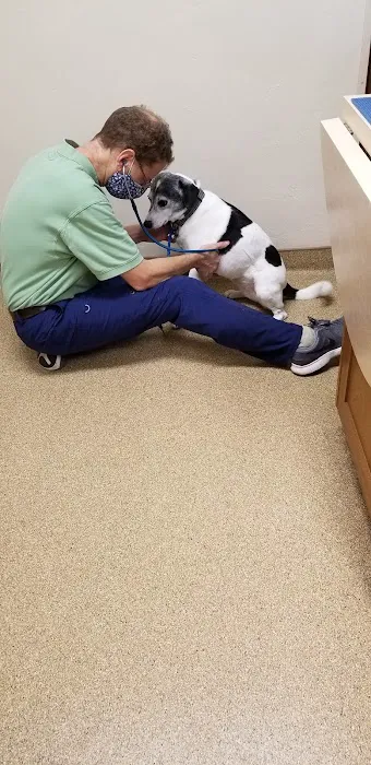 Fox River Animal Hospital 6