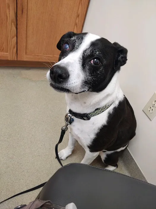 Birch Bark Veterinary Care 10