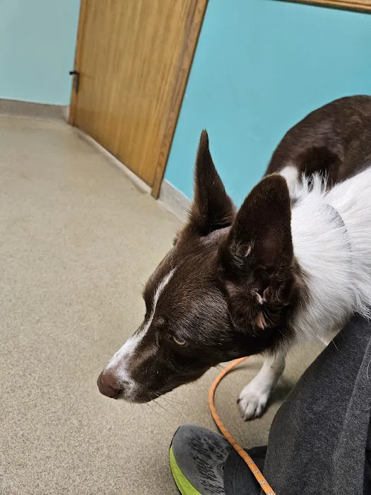 Birch Bark Veterinary Care 1