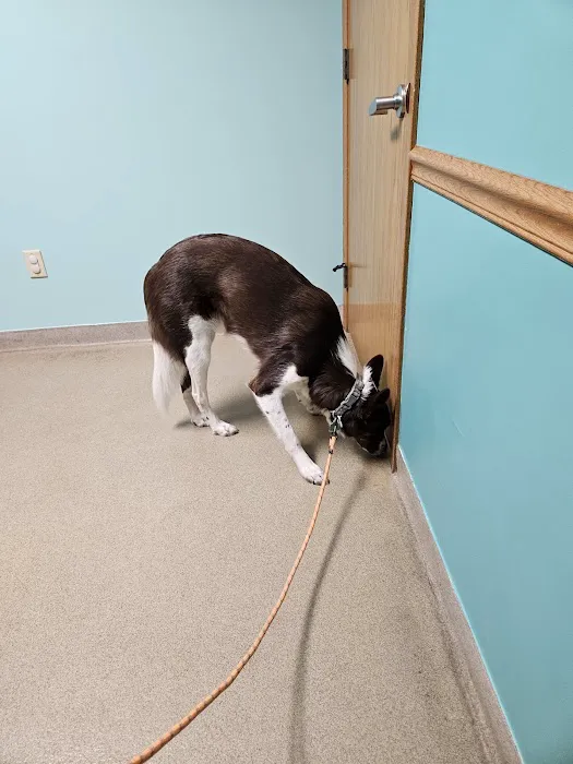 Birch Bark Veterinary Care 5