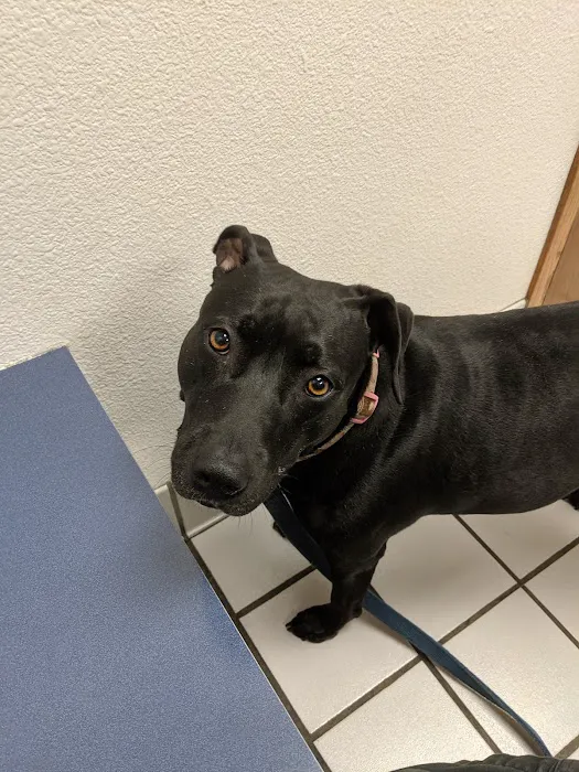 Kaukauna Veterinary Clinic: Rossebo Kurt DVM 3