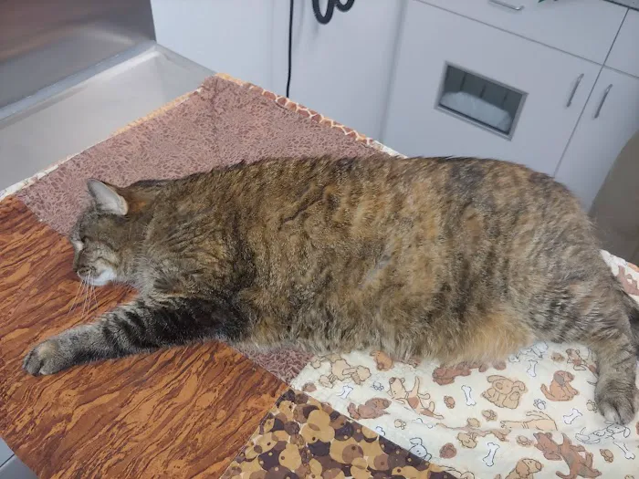 Kaukauna Veterinary Clinic 8