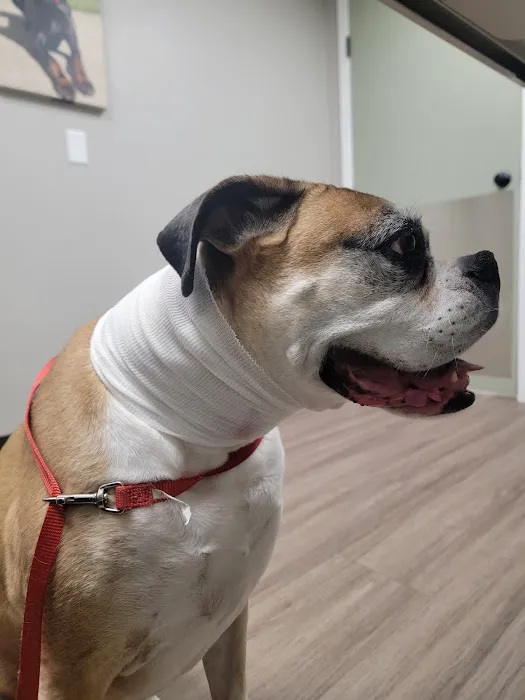 Kaukauna Veterinary Clinic 7