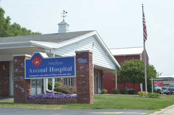 American Animal Hospital 4