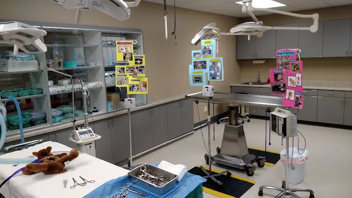 Country View Animal Hospital 2