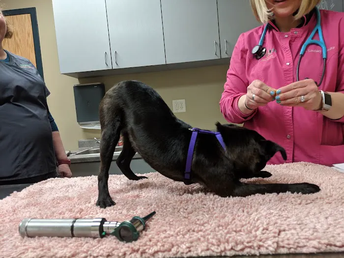 Country View Animal Hospital 1