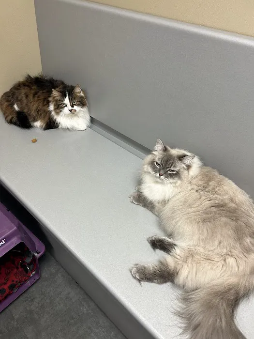 Country View Animal Hospital 5
