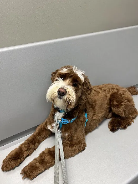 Country View Animal Hospital 9