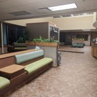 BluePearl Pet Hospital ico