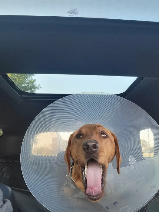BluePearl Pet Hospital 5