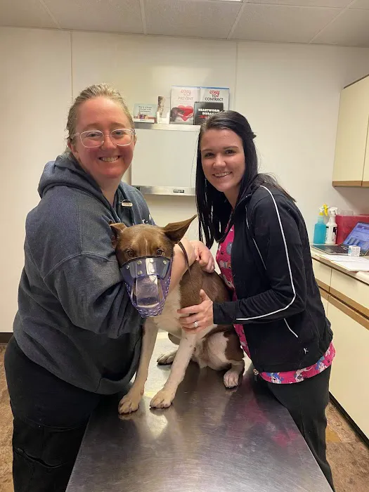 Countryside Animal Clinic 9