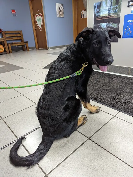 Oakwood Veterinary Service 1