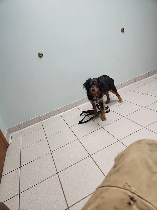 Oakwood Veterinary Service 6