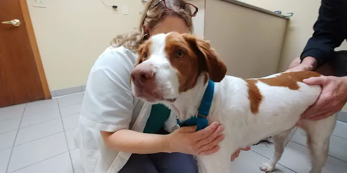 Oakwood Veterinary Service 5