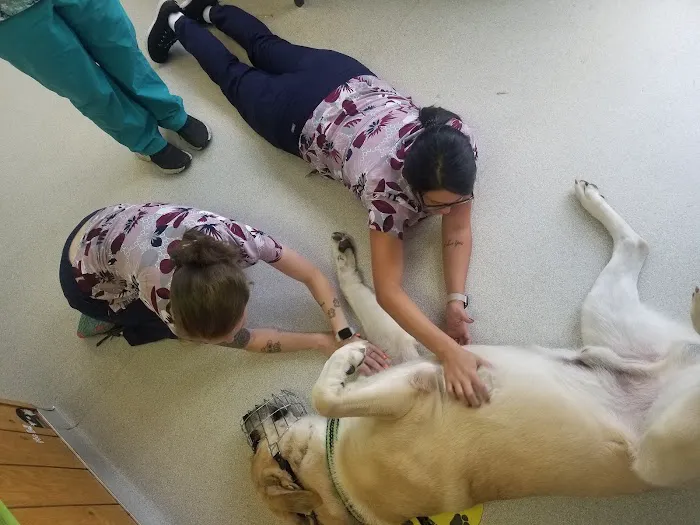 Colona Animal Health Center 2