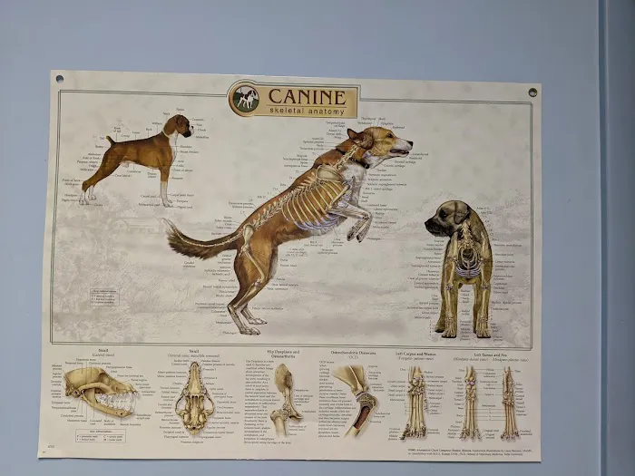 Colona Animal Health Center 3