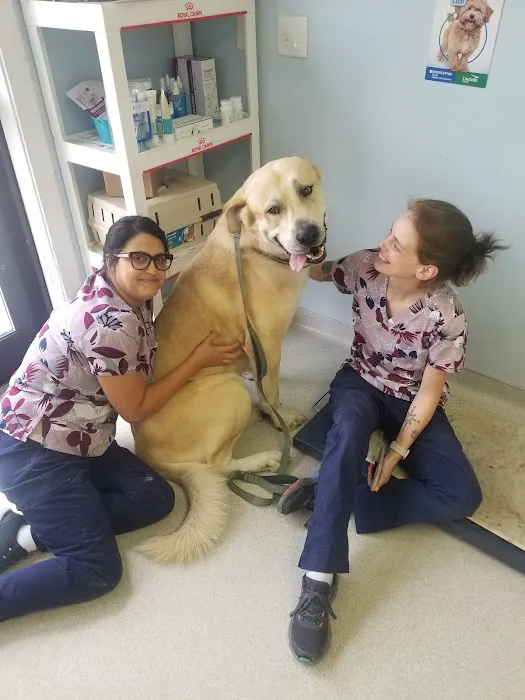 Colona Animal Health Center 4