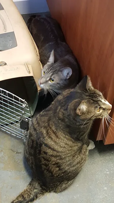 Orion Veterinary Clinic, Inc 2