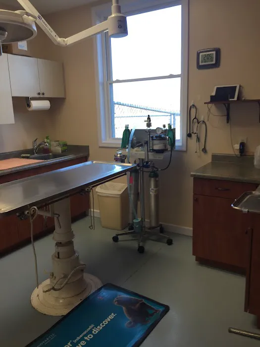 Orion Veterinary Clinic, Inc 5