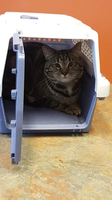 Orion Veterinary Clinic, Inc 4