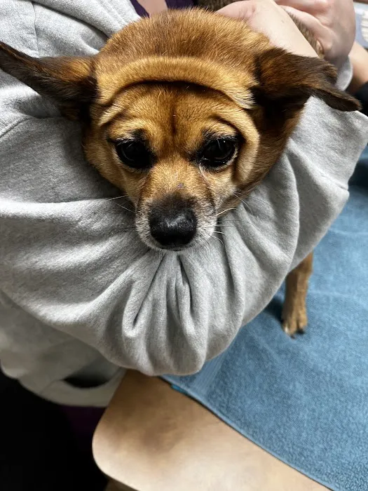 Furever Family Veterinary Care Center 3