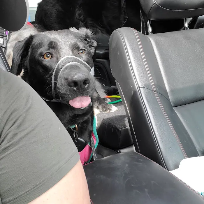Furever Family Veterinary Care Center 8