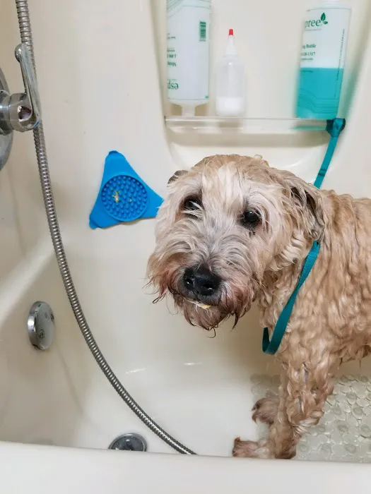 Furever Family Veterinary Care Center 7