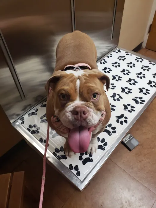 River Bend Animal Clinic PC 6
