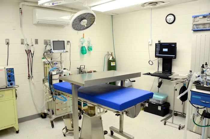 Oak Knoll Animal Hospital 12