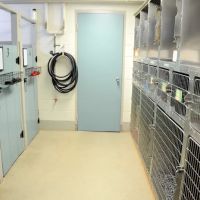 Oak Knoll Animal Hospital ico