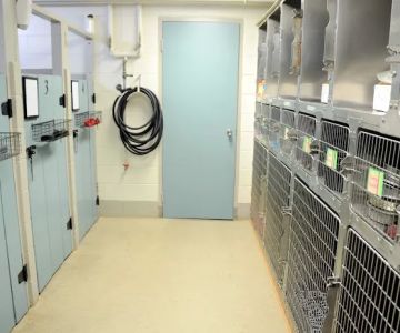 Oak Knoll Animal Hospital