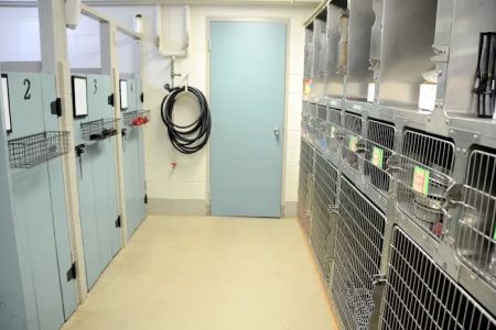 Oak Knoll Animal Hospital
