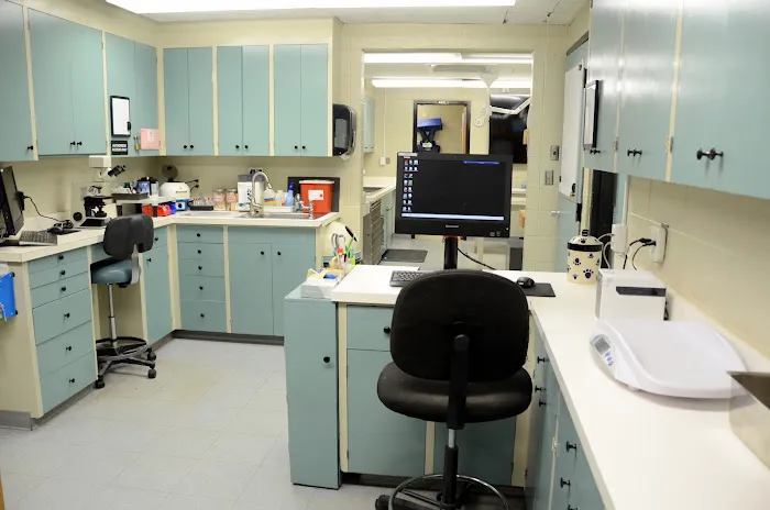 Oak Knoll Animal Hospital 12