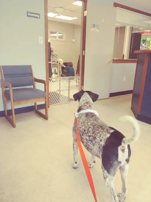 Sauk Trail Animal Hospital 1