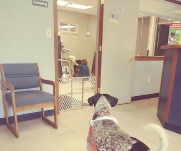 Sauk Trail Animal Hospital