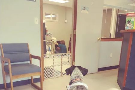Sauk Trail Animal Hospital