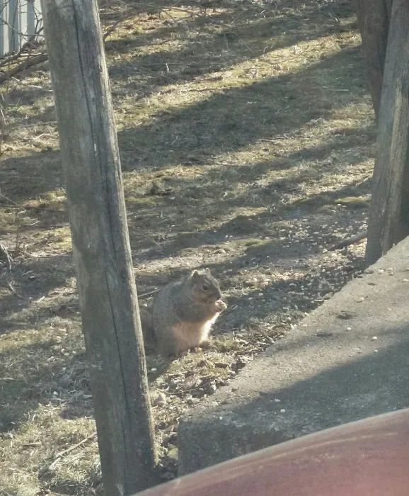 Sauk Trail Animal Hospital 3