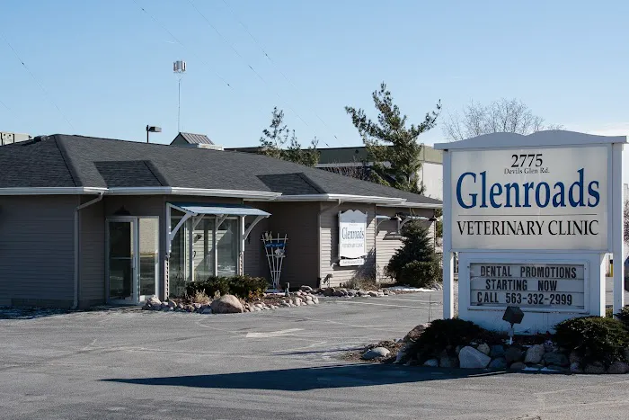 Glenroads Veterinary Clinic, A Thrive Pet Healthcare Partner 12