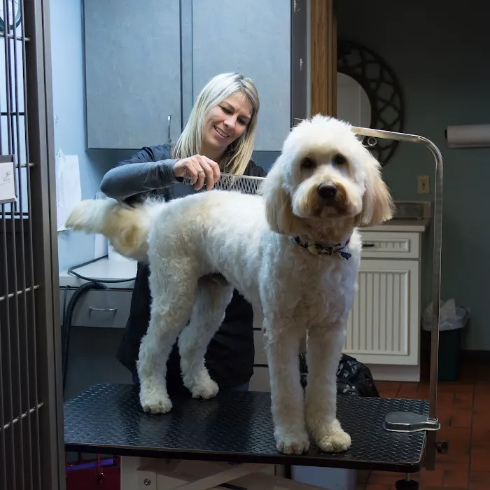 Glenroads Veterinary Clinic, A Thrive Pet Healthcare Partner 12